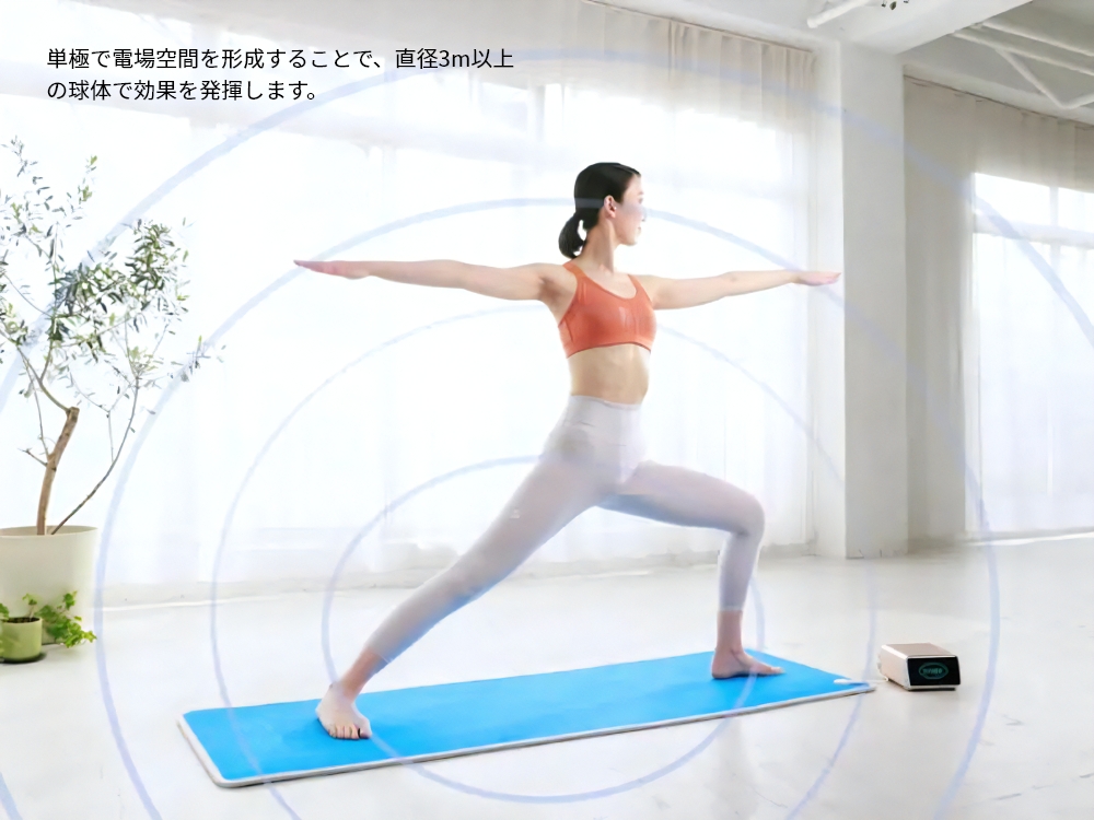 単極電場技術を示すイメージ
